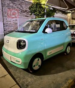 بيستون بوني